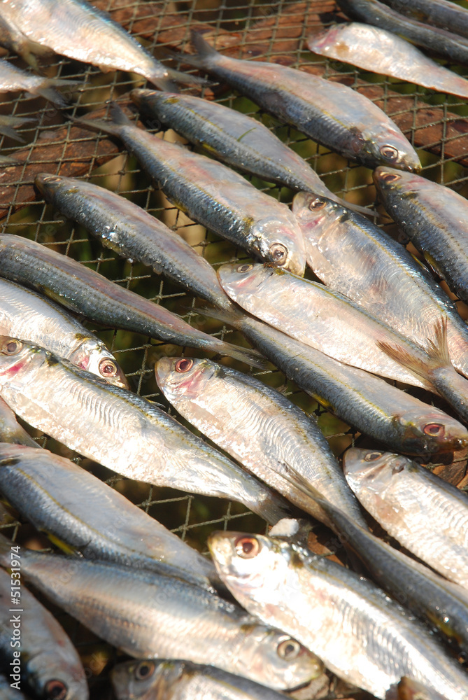 Dry fish for cook in the basket , Thailand Dry fish for cook in the basket , Thailand
