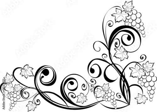 Grapevine. Wine design elements.