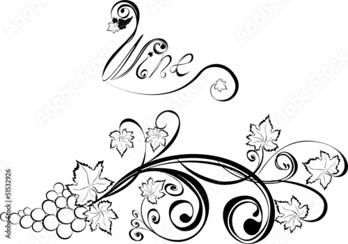 Grapevine. Wine black and white design elements.