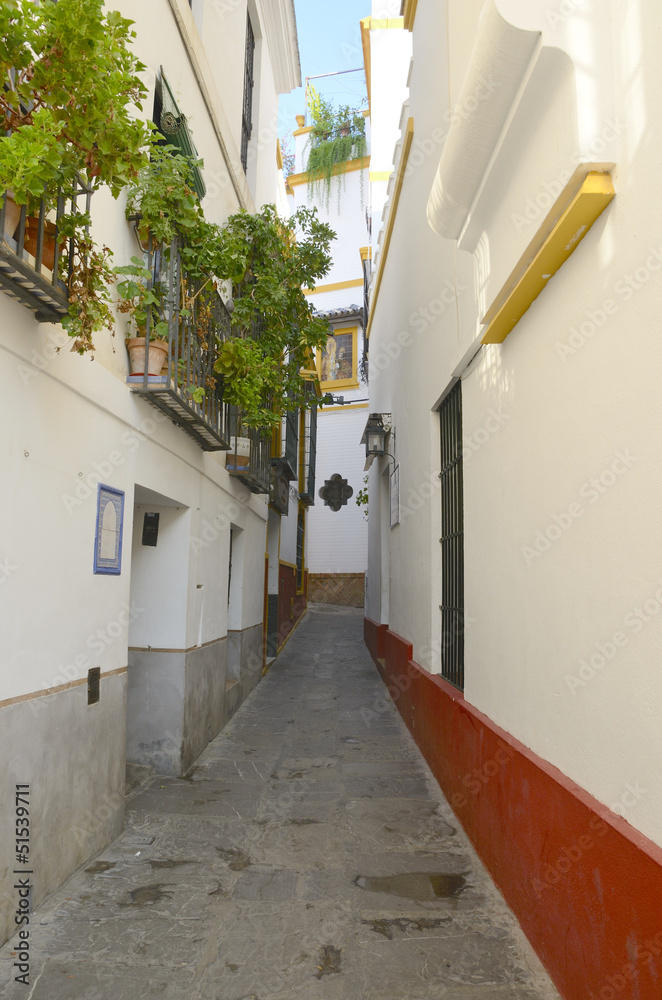 Fototapeta premium Narrow street in the historical center of Seville, Spain