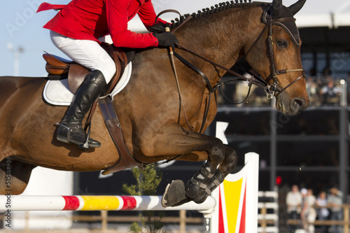 Fotografie, Tablou Rider and horse in equestrian jumping obstacles on Show course
