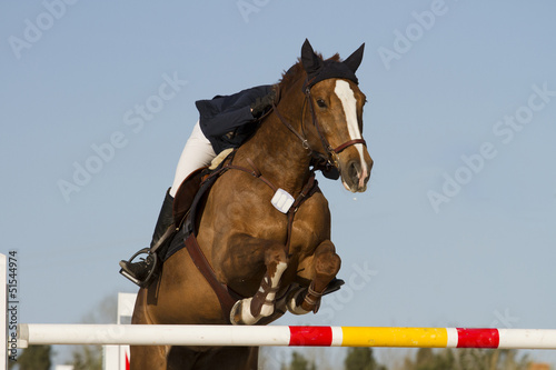 Horse jump a hurdle in a competition/Equestrian jumper © GIROMIN Studio