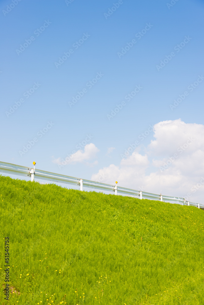 grass and sky of spring