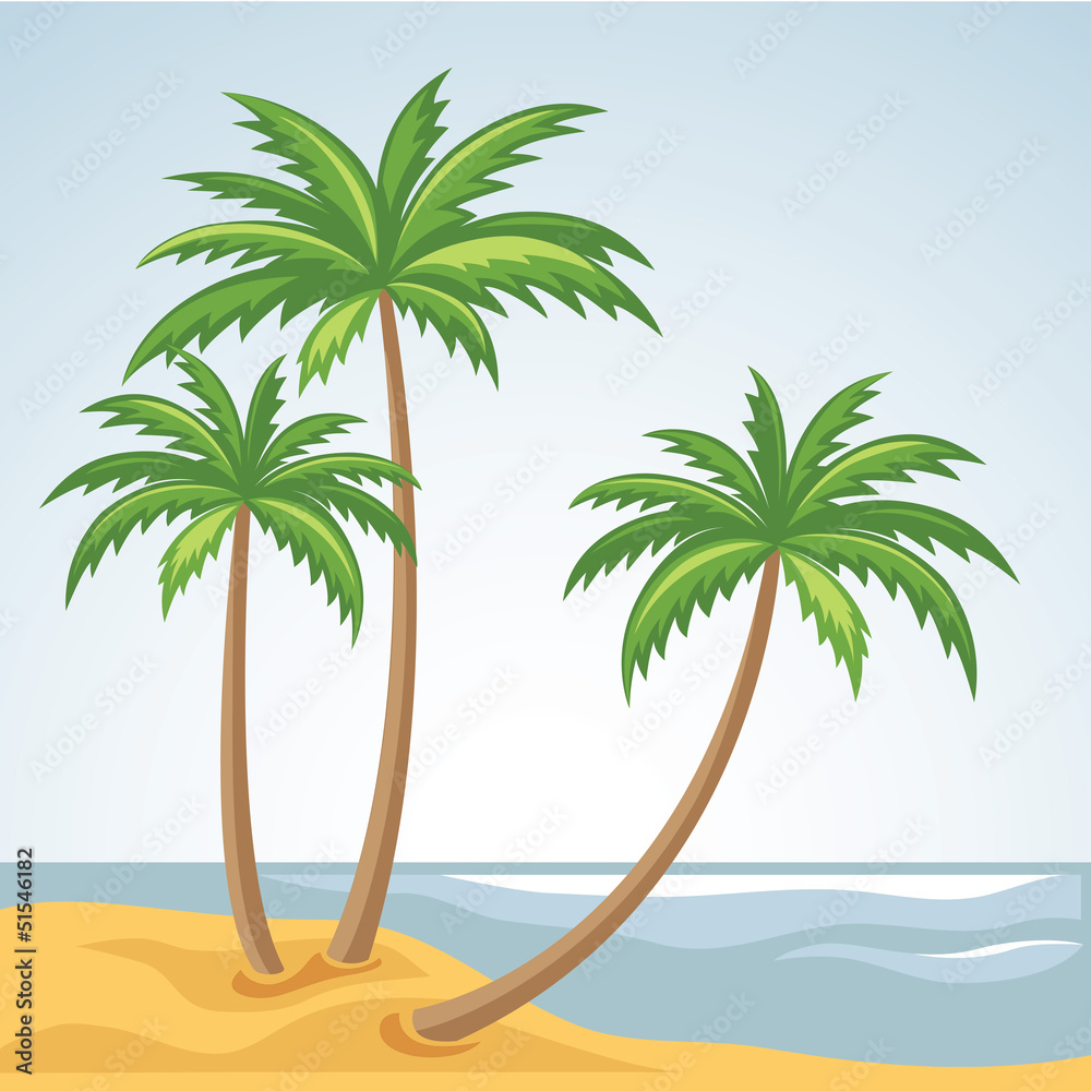 Fototapeta premium Three palm trees in vector