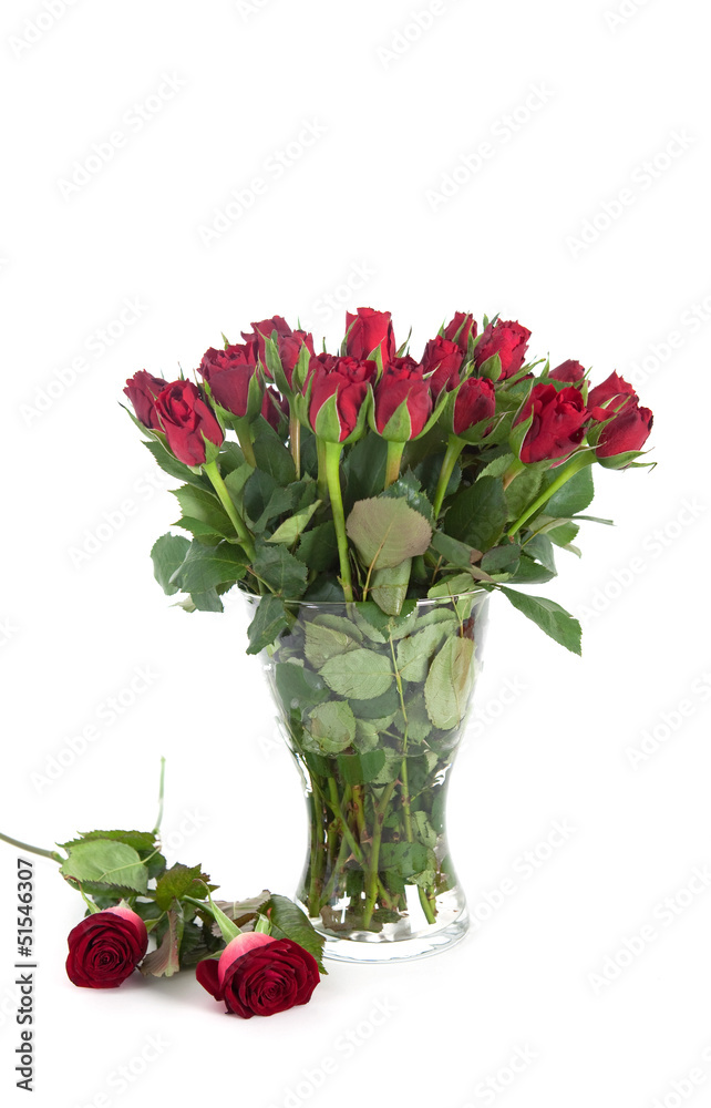 Obraz premium Rote Rosen