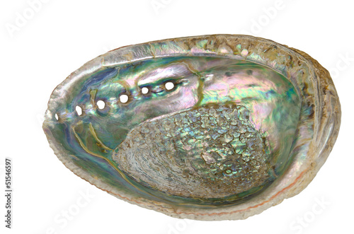 The abalone interior of a sea shell