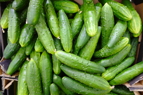 Fresh cucumbers in boxes