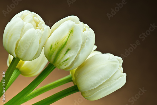 Białe tulipany
