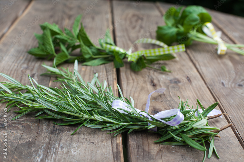 Rosemary, basil and pepermint plants on wooden table Rosemary, basil and pepermint plants on wooden table