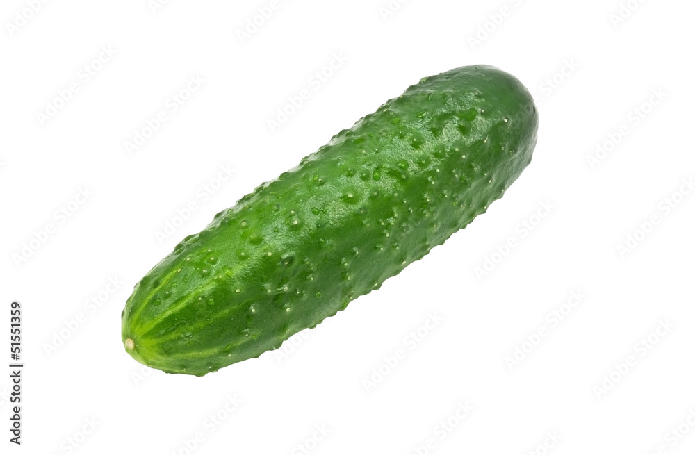 Cucumber Cucumber