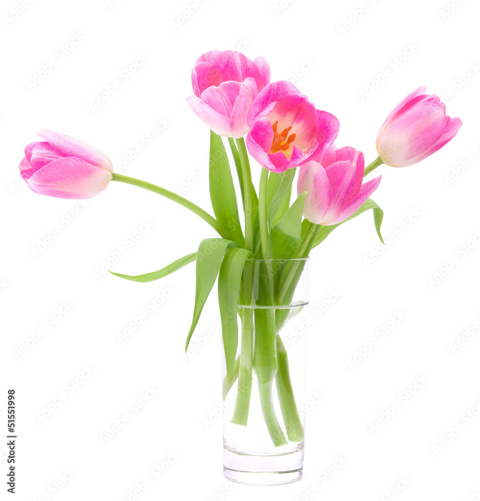 Pink tulips bouquet in vase isolated on white background