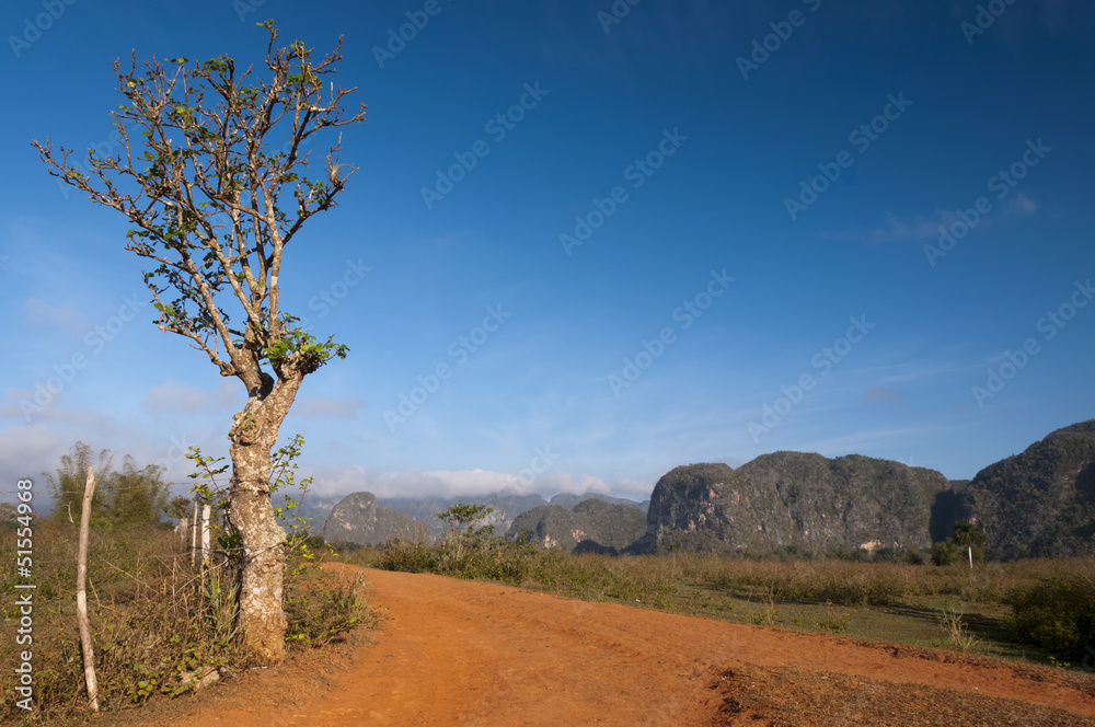Red earth road and cuban mogotes, Vinales, Cuba Red earth road and cuban mogotes, Vinales, Cuba