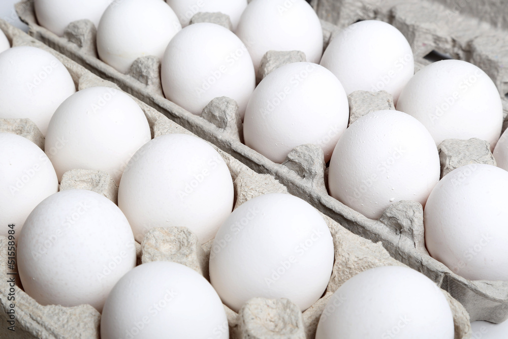 Chicken white egg package Chicken white egg package