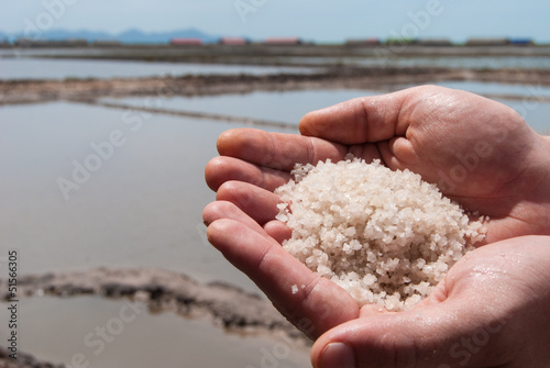 Handful of sea salt in the hands, background of salt fields