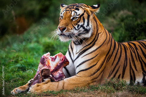 dinner time