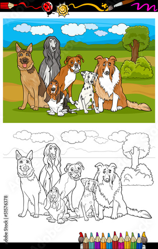 dogs breeds cartoon for coloring book