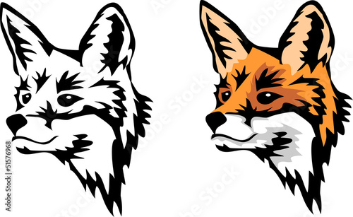 head of fox