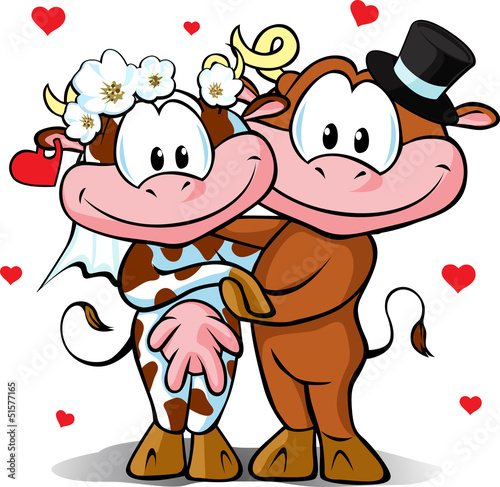 wedding - cow and bull in love