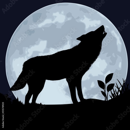 Wolf against the moon.