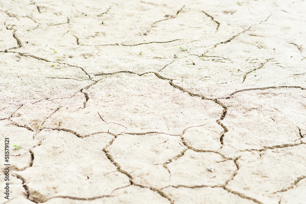 Ausgetrockneter Sand in einer Wüstenlandschaft