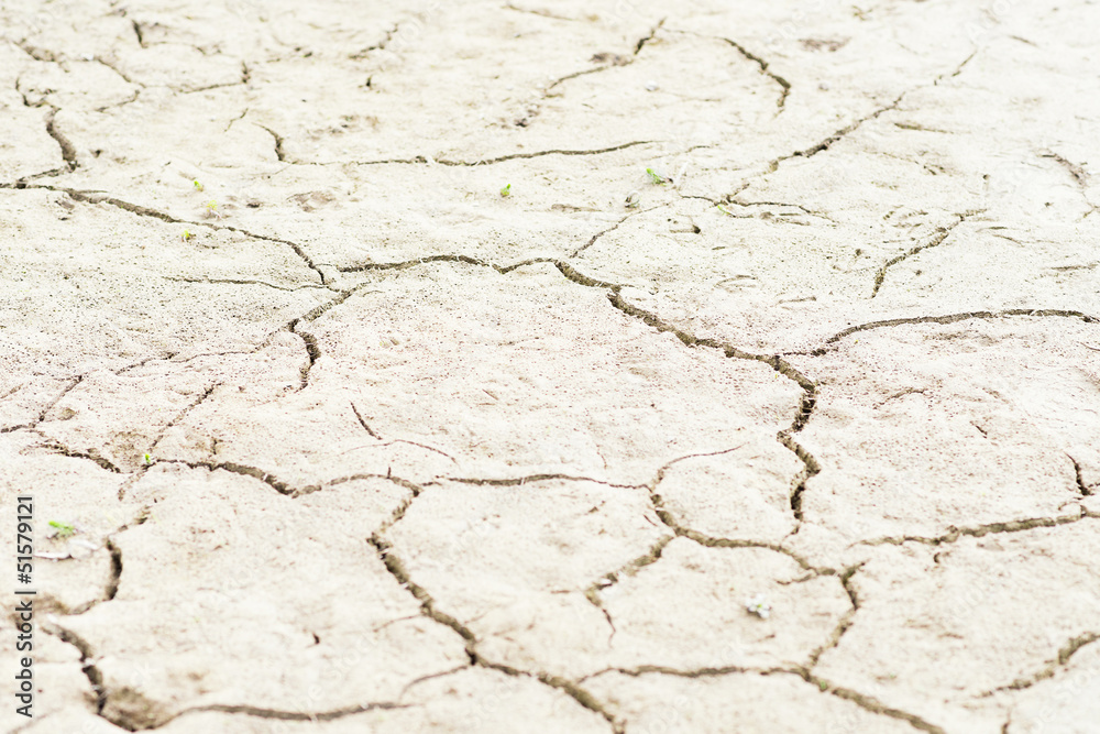 Ausgetrockneter Sand in einer Wüstenlandschaft Ausgetrockneter Sand in einer Wüstenlandschaft