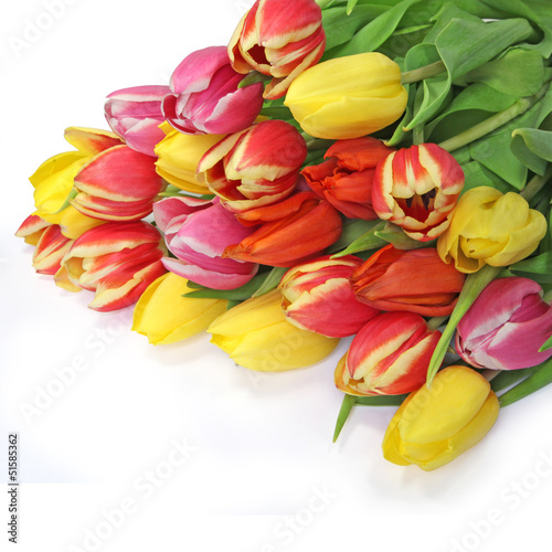 Fototapeta Naklejka Na Ścianę i Meble -  bouquet de tulipes
