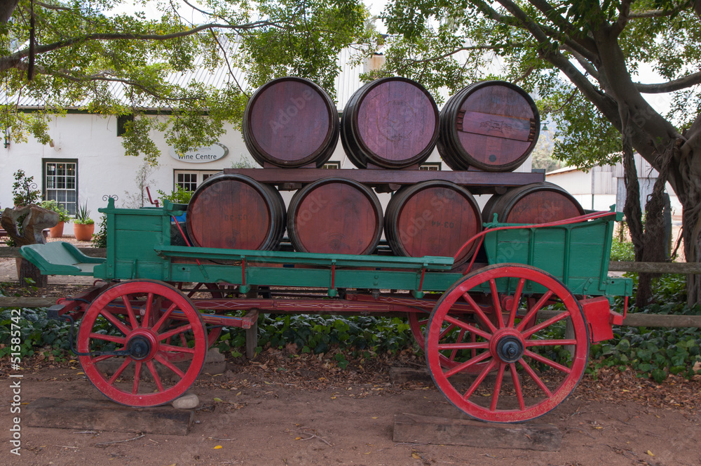 The Stellenbosch wine lands region near Cape Town..