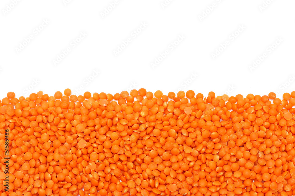 Red Lentils border isolated on white background Red Lentils border isolated on white background