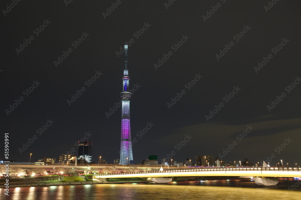 View of Tokyo Sky Tree