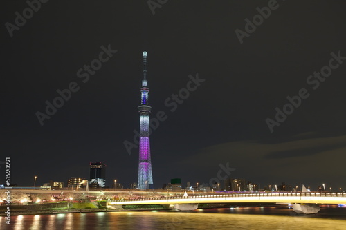 View of Tokyo Sky Tree