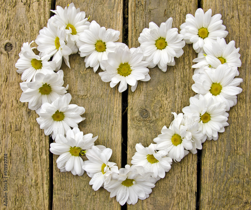 Obraz premium Herzliche Blumengrüße: Weiße Margeriten auf Holz