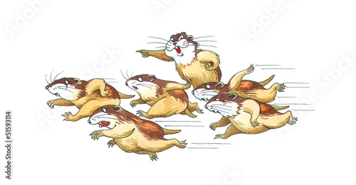 lemmings photo