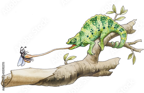 The chameleon has caught an insect for a breakfast.
