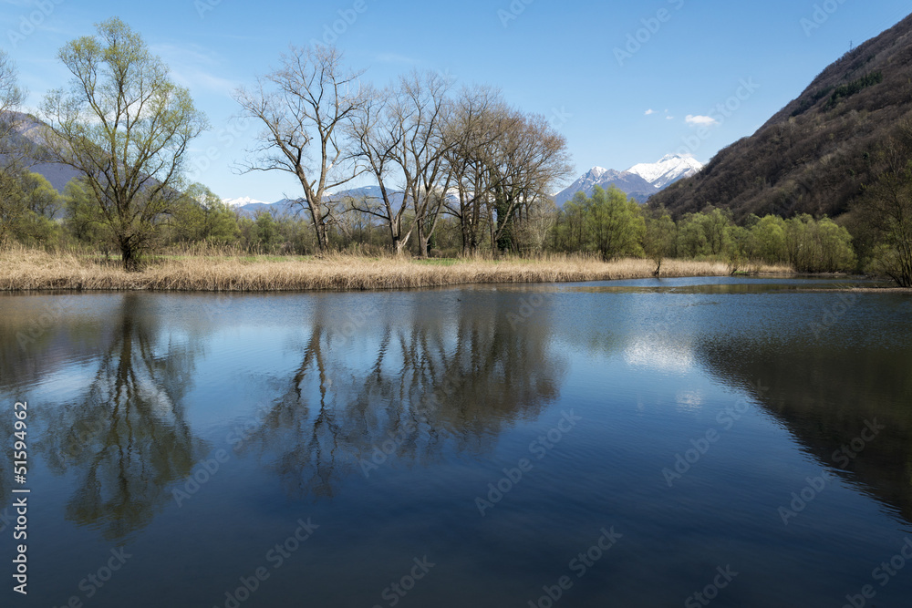 Fototapeta premium spring landscape