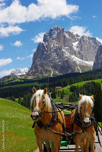 Pferdekutsche in der Südtirol nähe Seiser Alm
