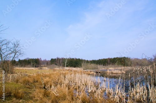 Landscape photo of meadow with trees and lake in early spring
