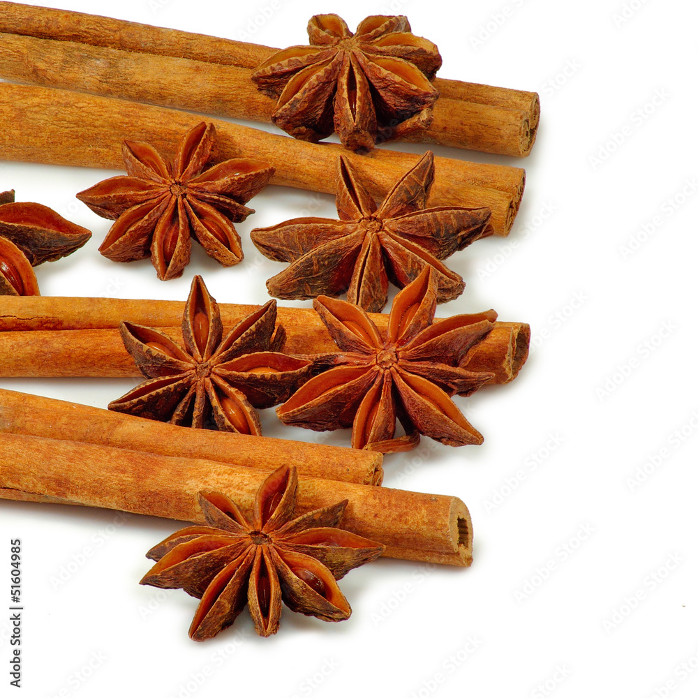anisetree and cinnamon stitsks isolate anisetree and cinnamon stitsks isolate