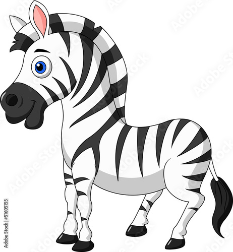 Cute zebra cartoon