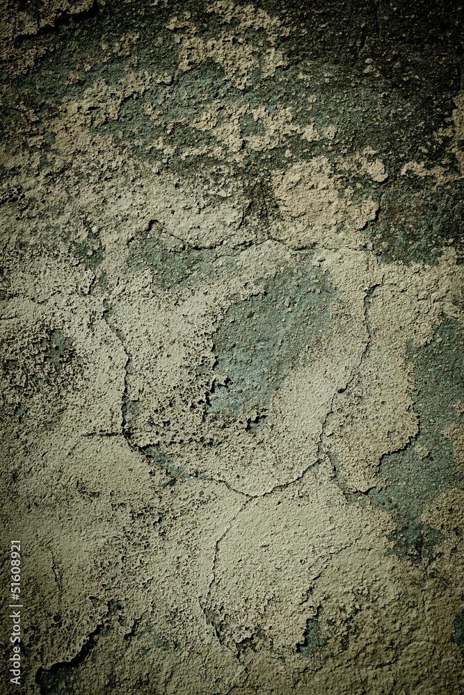 Obraz premium background texture pattern of grunge wall with mold