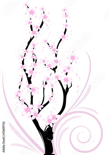 ramo fiori di ciliegio decorazione