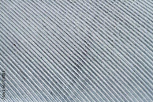 Texture of gray feather with an increase in high-resolution