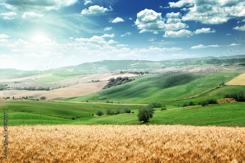 summer landscape of Tuscany, Italy