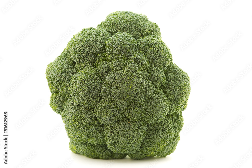 Broccoli floret