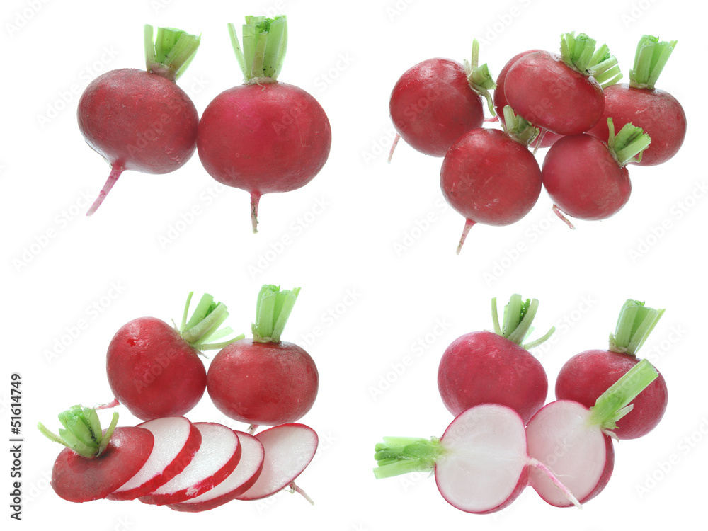 Radish isolated on a white background Radish isolated on a white background