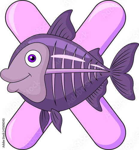 Alphabet Y with X ray fish