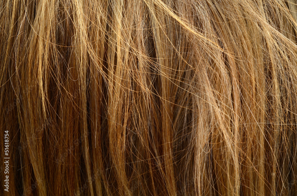 Fototapeta premium Abstract Background Texture Of Messy Coarse Animal Hair
