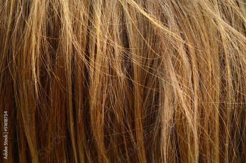 Abstract Background Texture Of Messy Coarse Animal Hair