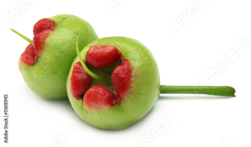 Fresh water apple or rose apple photo