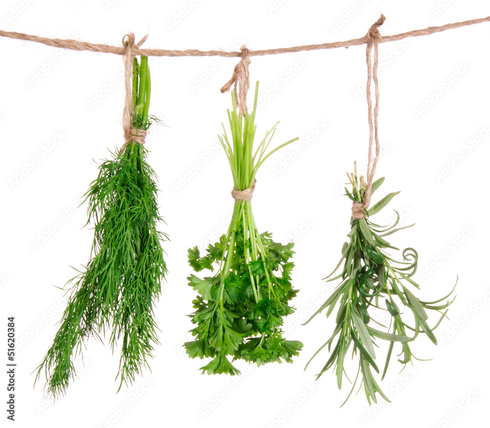 Fototapeta premium Fresh herbs hanging isolated on white background