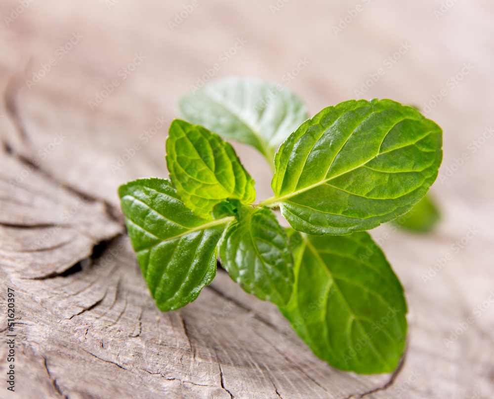 Fresh peppermint on wooden table Fresh peppermint on wooden table